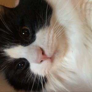 Meet your Posher, Destiny